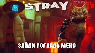 Stray прохождение #6 | Центр управления - END