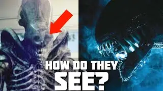 How do Xenomorphs SEE? - Alien Romulus