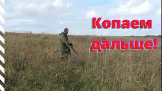 Нашли 