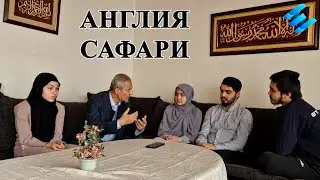 Англия сафари