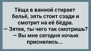 Теща в Ванной! Сборник Свежих Анекдотов! Юмор!