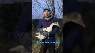 хахах прикольно