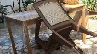 kedim doğurdu
