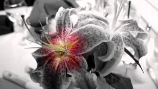 SHato - Mentha (Original Mix)