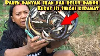 PANEN IKAN SUNGAI DAN BELUT BABON PART2