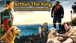 Arthur the King (2024) The Incredible True Story of The Dog Who Crossed the Jungle to Find a Home