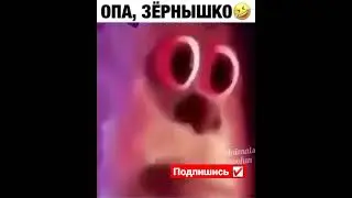 Опа, Зернышко🤣🤣🤣🤣#мемасики#мемы#мем#прикол#орунемогу#цешо#юмор#шутки#смех#видос#тикток#жиза#mem