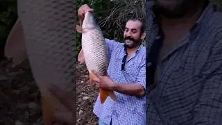 Kilo tahmin edenler yoruma sizce kaç kilo sazan balığı
