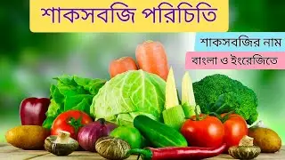 vegetables name learning || vegetables name learning for kids || kids video