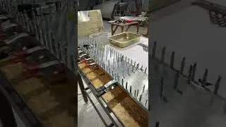 Много ёжиков