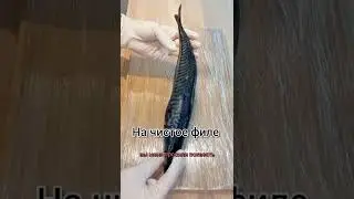 The easiest way to cut mackerel into clean fillets!