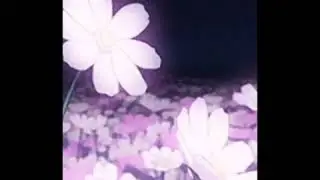 2seat - tru luv (aesthetic)