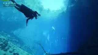 Transparência incrível da Lagoa Misteriosa - Jardim, MS