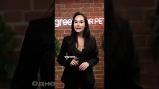 Нравится ли собакам слушать музыку?