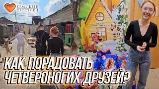 Как порадовать четвероногих друзей | Помощь отеля «Космос»