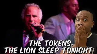 The Lion King | The Tokens - The Lion Sleeps Tonight Reaction