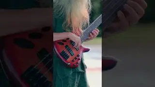 Shin Sakaino | SRD905F