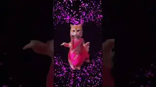 İyi ki Doğdun ABLACIM 🎂 Bugün Kimin Doğum Günü