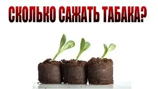 Сколько сажать табака? Сколько нужно табака на год?