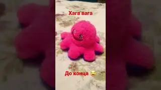 8 октября 2022 г.