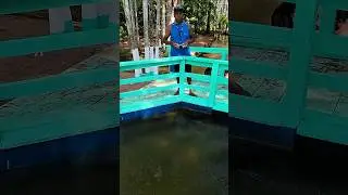 Zoom Out com o drone DJI Avata 
