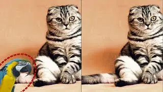FOTOĞRAFTAN CİSİM SİLME | Fotoğraftan Üzerinden Nesne Kaldırma 👉 ÜCRETSİZ  [Bilgisayar + Telefon]