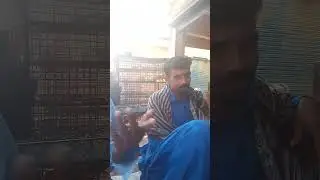 ٺٽي وارا نشو ڇڏي وڃن ته پو ڇاٿيندو ۔ پهرين قسط