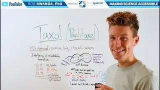 How does Taxol (Paclitaxel) Work for Cancer Treatment?