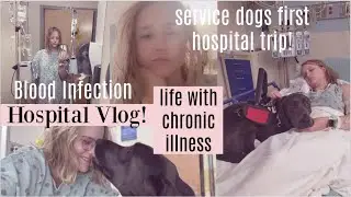 blood infection emergency hospital vlog w chronic illness; my service dog's first time