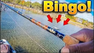 I Tossed my JIG! along this Shallow STRUCTURE and Caught THIS! Winter Fishing Tips!