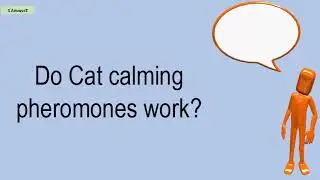 Do Cat Calming Pheromones Work #viral #video #foryourpage