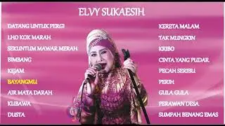 ELVY SUKAESIH - LAGU DANGDUT PILIHAN TERBAIK FULL ALBUM