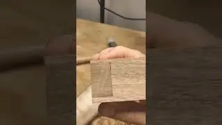 One Day of  one Finger #wood #woodworking #wooden #recommended #recommendations #joinery #funny