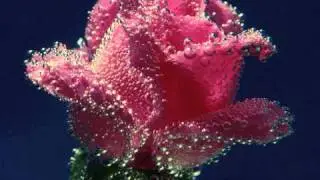 Jewel's Break Me (sung by AedeusLeonora)...