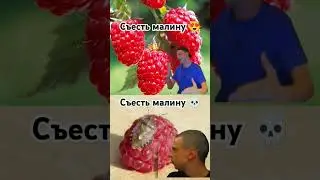 Съесть малину 💀 | Меллстрой |
