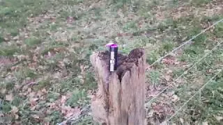 Dum Bum von Klasek