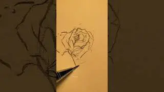 pov: u found the perfect ROSE DRAWING tut 