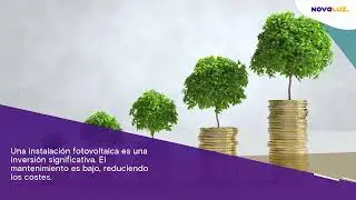 🛡️ ¿Por qué debo proteger una instalación fotovoltaica en mi empresa?| Novaluz