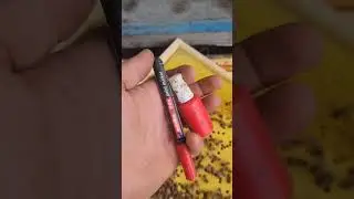 Чем пометить матку? 