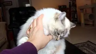 Feeling frisky!