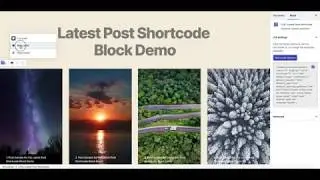 LPS / Latest Post Shortcode Gutenberg Block Demo