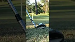 Raw Spinners