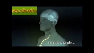 Fájdalom Stop fájdalomcsillapító készülék