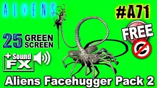 Alien Facehugger Green Screen 3D Pack 2