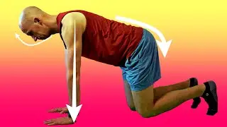 Quadruped | The ULTIMATE Step-by-Step Guide