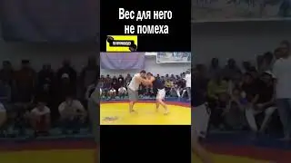 ДАЖЕ ОГРОМНЫЙ ВЕС ОРЛУ НЕ ПОМЕХА! 