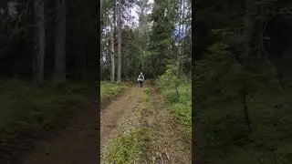 Жизнь, это сейчас 🤗 #мудрость  #откровение