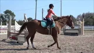 Lexi pony ride #2