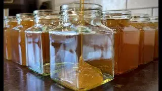 Musical Honey! 🍯 A Minute of Pure, Satisfying, Relaxing, ASMR Sweetness 😌