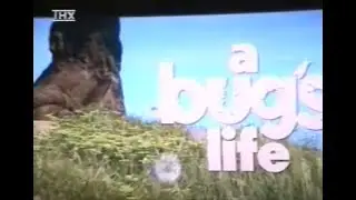 Bug's Life CAM Opening